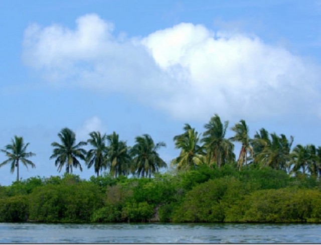 Visitas guiadas  de snorkel